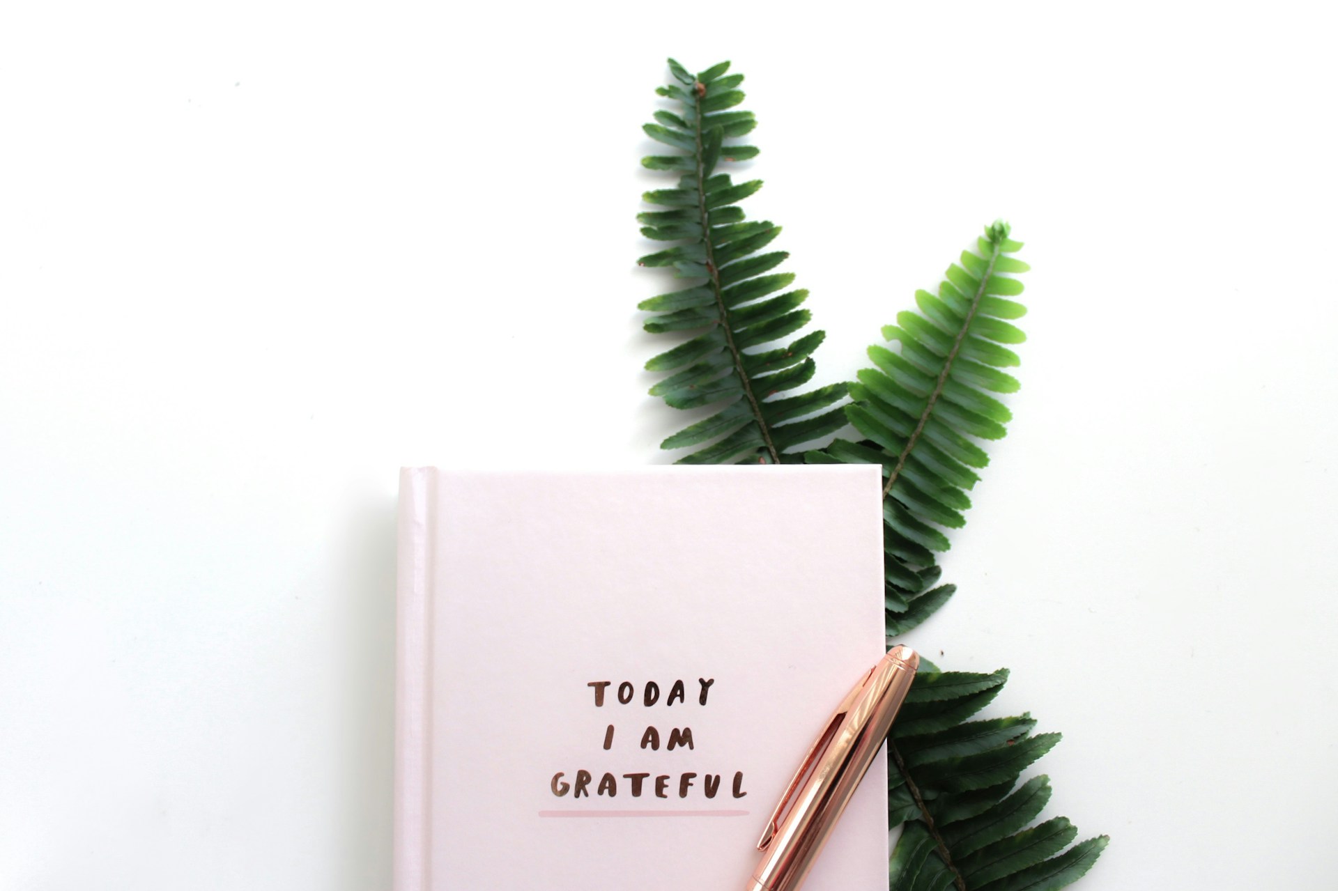 Lundi Inspirant Newsletter AutoCoaching SANE Cynthia Coll Lyon