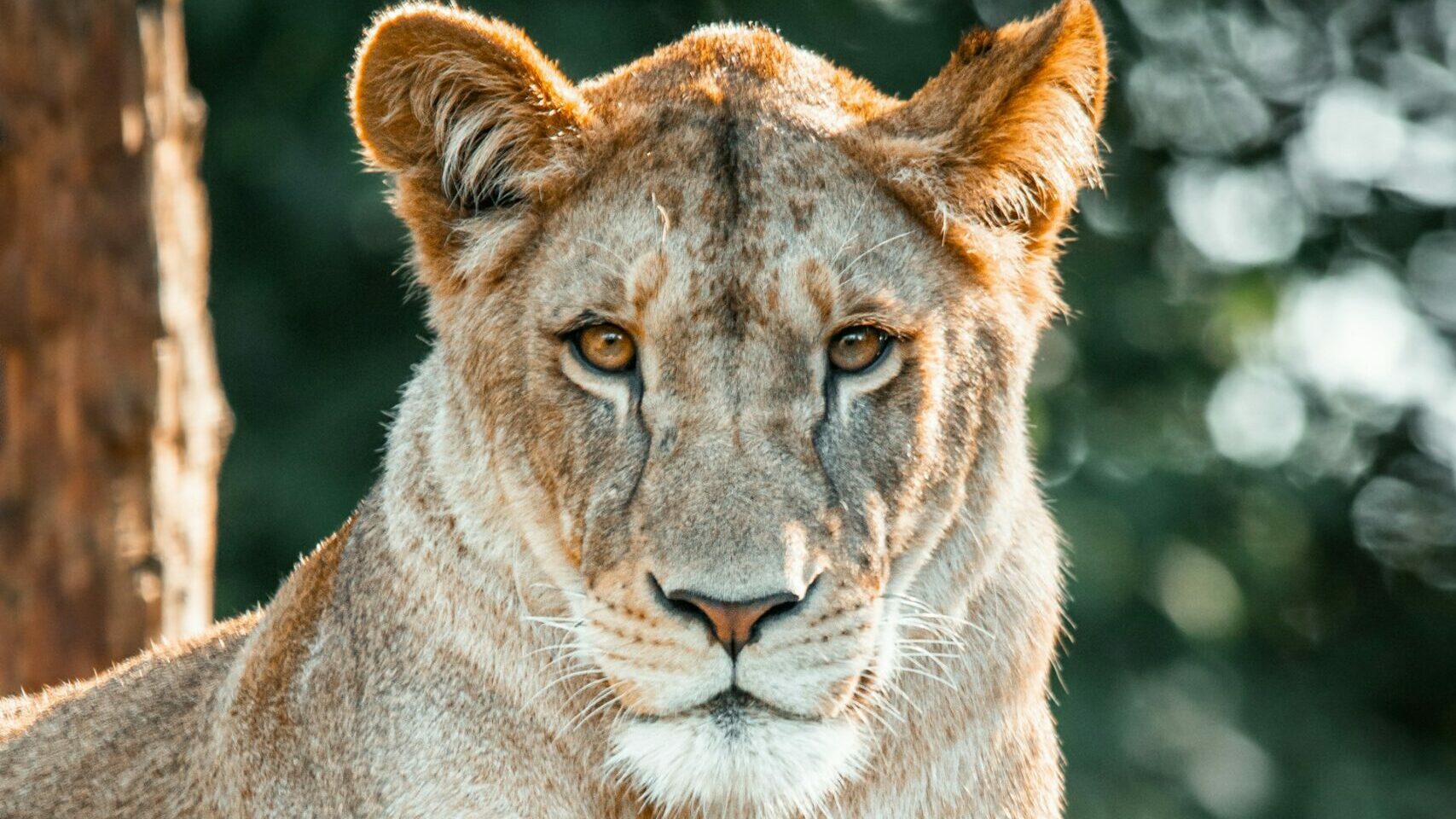 « Si seulement j’avais un super-pouvoir… »