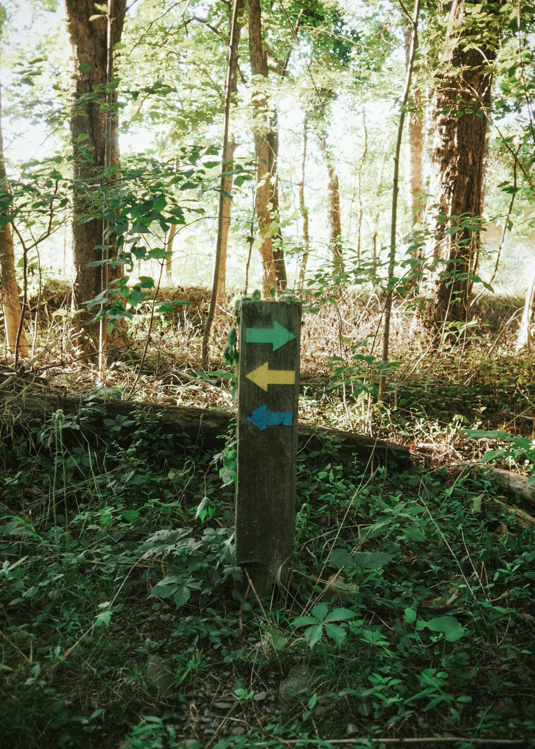 Pourquoi la plupart des objectifs ne tiennent pas (spoiler : objectif aligné ?)