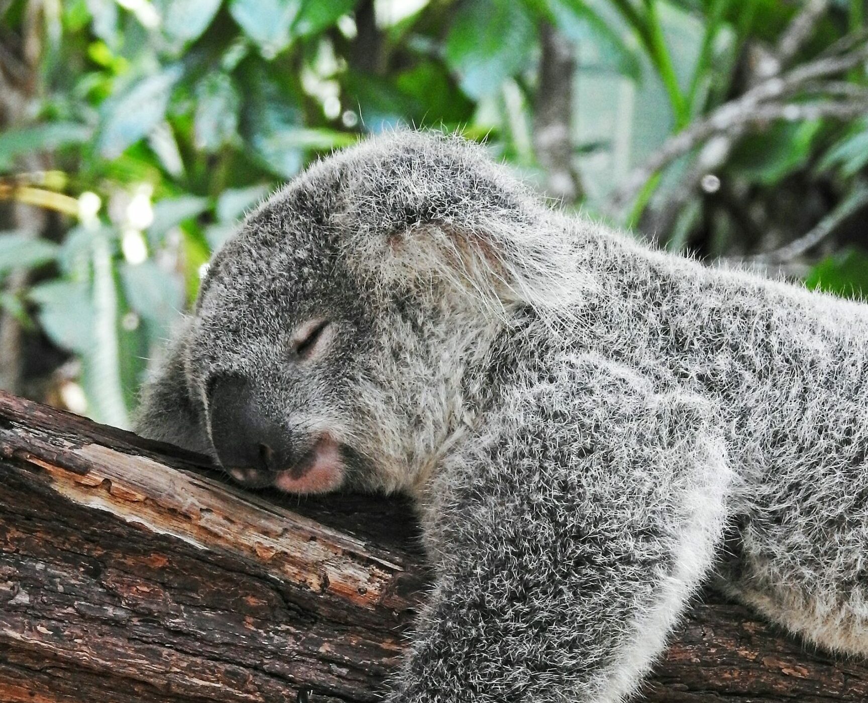 Retrouver un sommeil naturel : s’émanciper du diktat d’une société anormalement épuisée